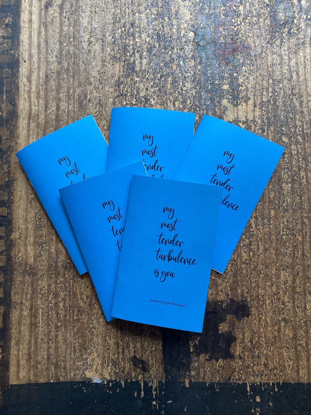 Shop Poetry Books — Igor Bjorn Brezhnev